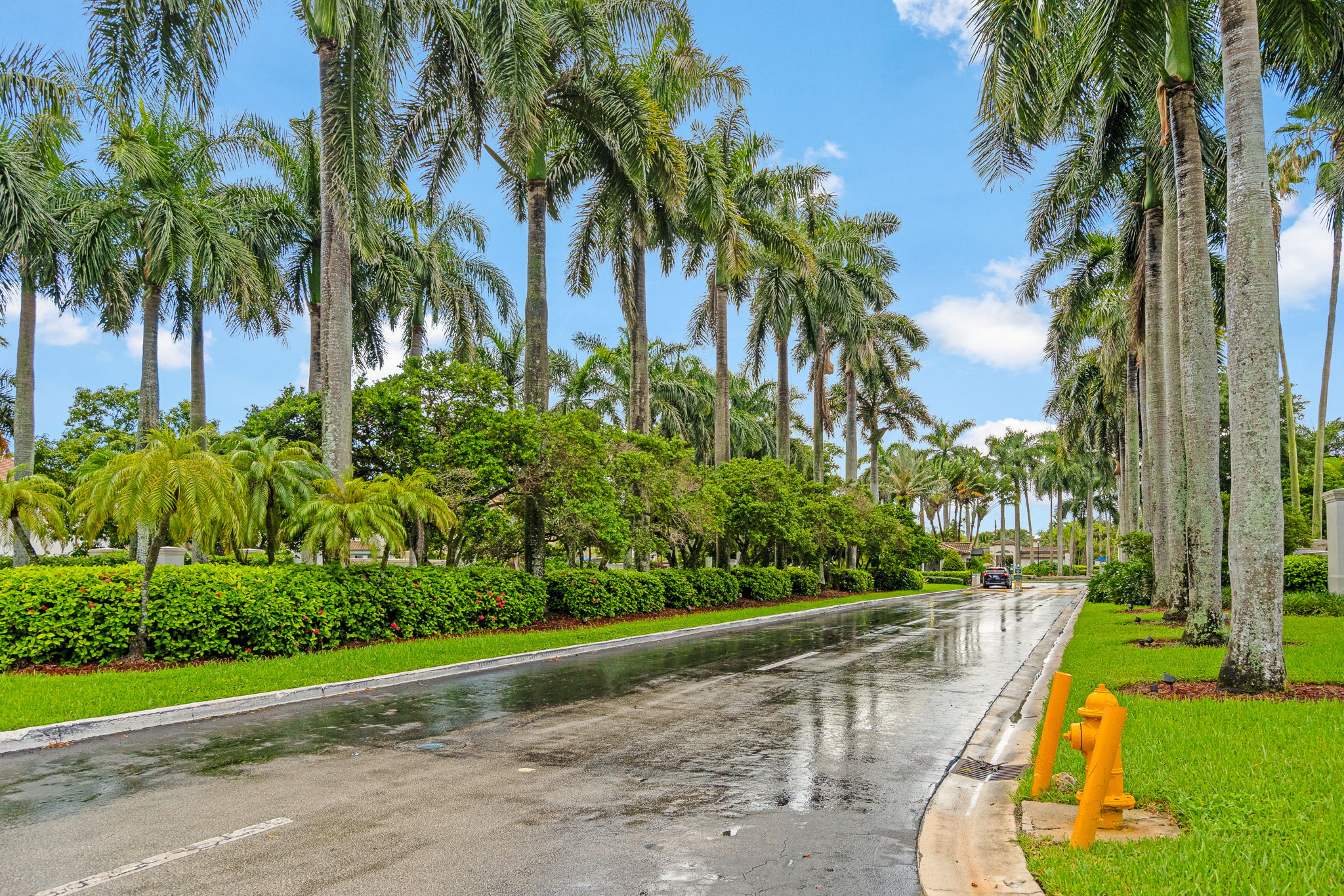 Featured doral property 49